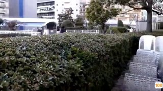 中文字幕一区二区三区精品⭕❌欧美精品A片XXX⭕❌欧美性猛交XXXX乱大交极品-无码av电影在线观看不卡